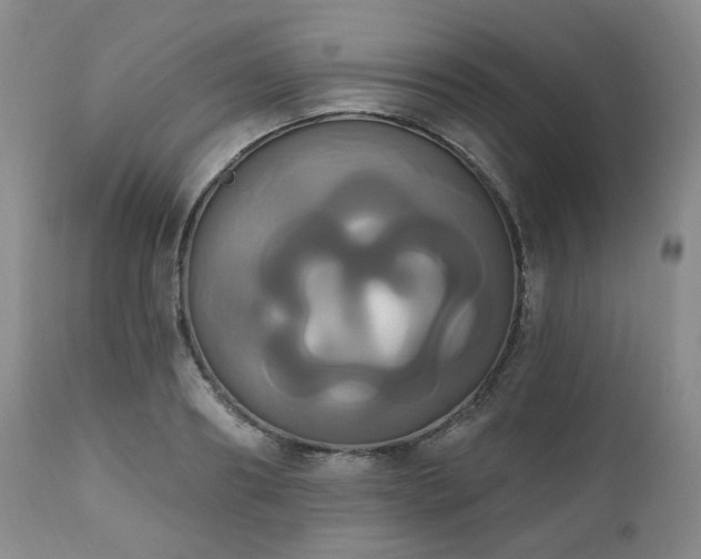 X0000111020890200906191650