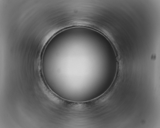 X0000111020891200906191650