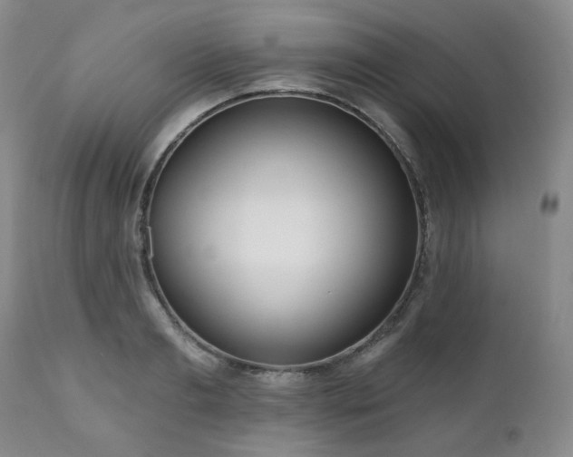 X0000111020893200906191650