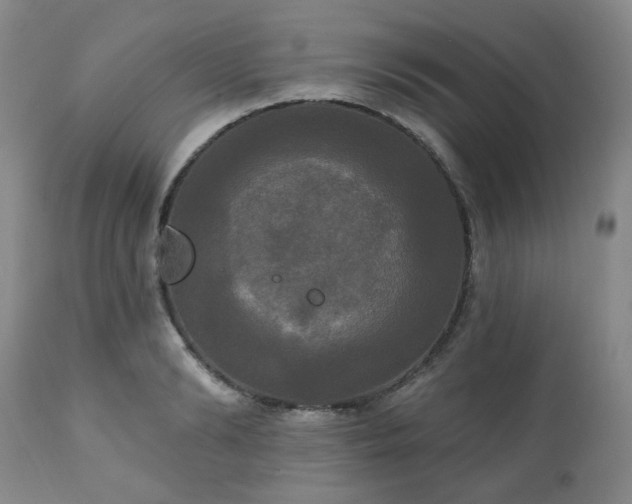 X0000111020894200906191650