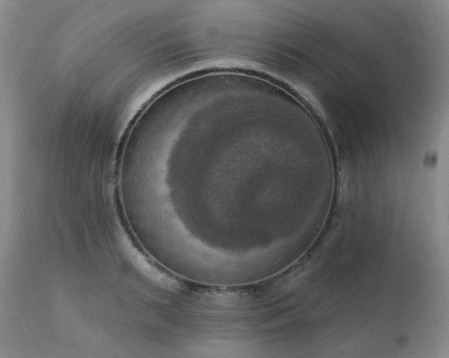 X0000111020895200906191650