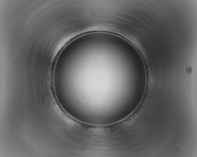 X0000111020896200906191650