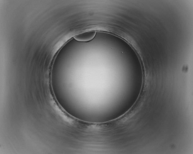 X0000111020898200906191649