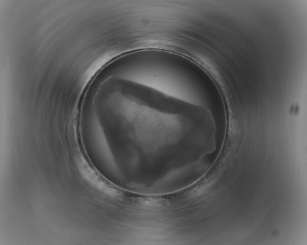 X0000111020899200906191649
