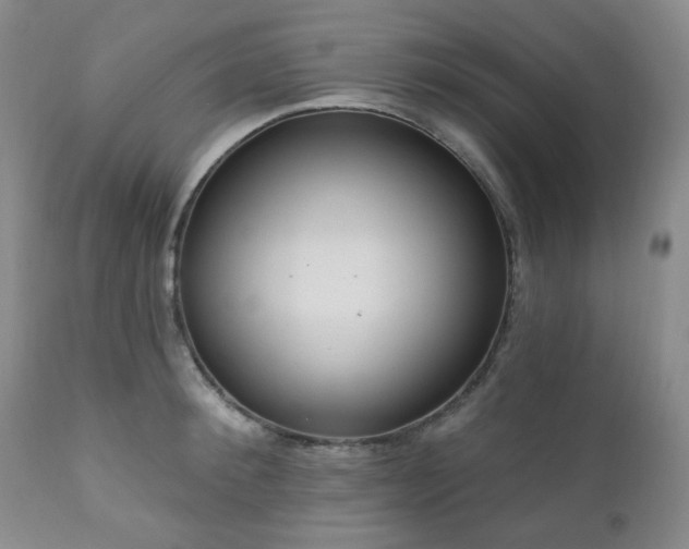 X0000111020900200906191649