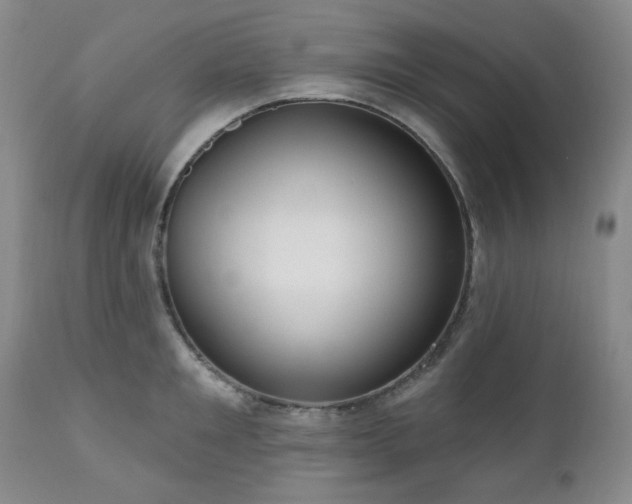 X0000111020901200906191649
