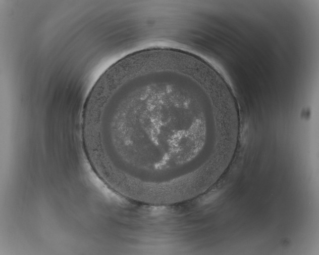 X0000111020903200906191649