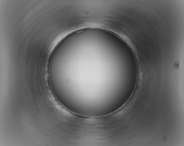 X0000111020904200906191649
