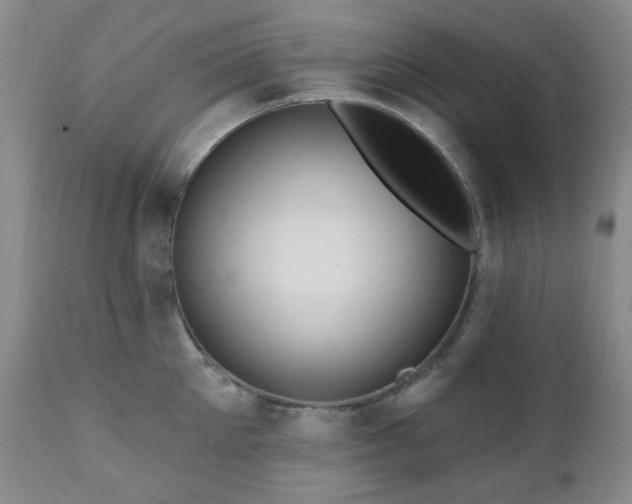 X0000111020905200906191649