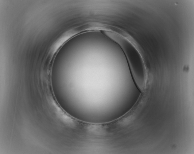 X0000111020909200906191649