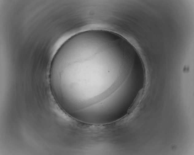 X0000111020912200906191649