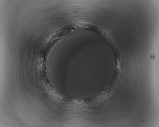 X0000111020915200906191648