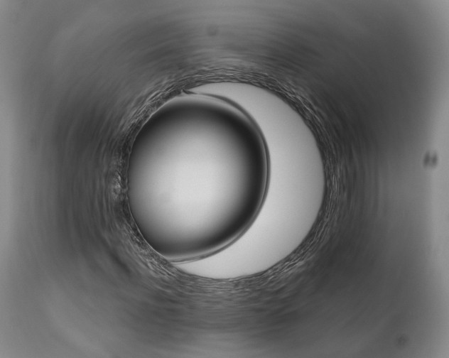 X0000111020916200906191648