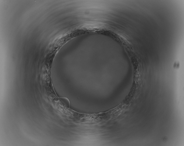 X0000111020917200906191649
