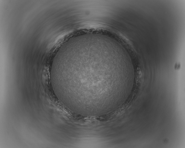 X0000111020918200906191649