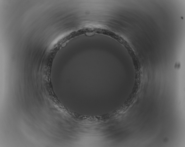 X0000111020919200906191649