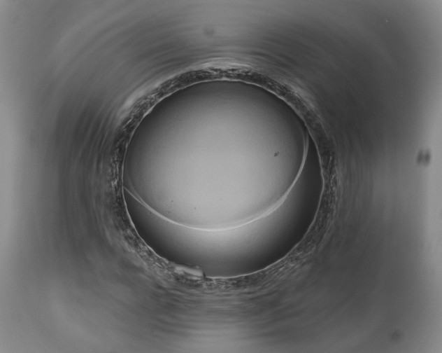 X0000111020920200906191649