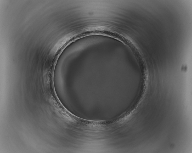 X0000111020921200906191649