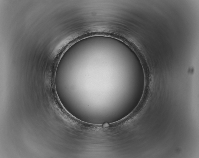 X0000111020922200906191649