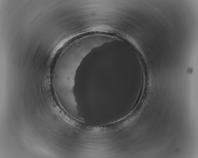 X0000111020923200906191649