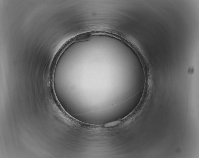 X0000111020924200906191649