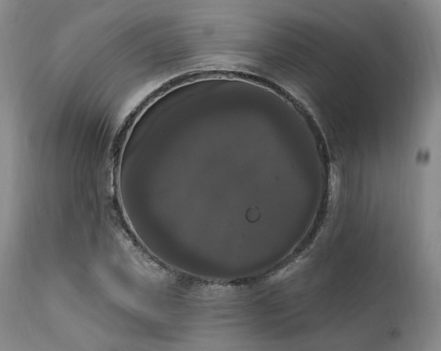 X0000111020925200906191649
