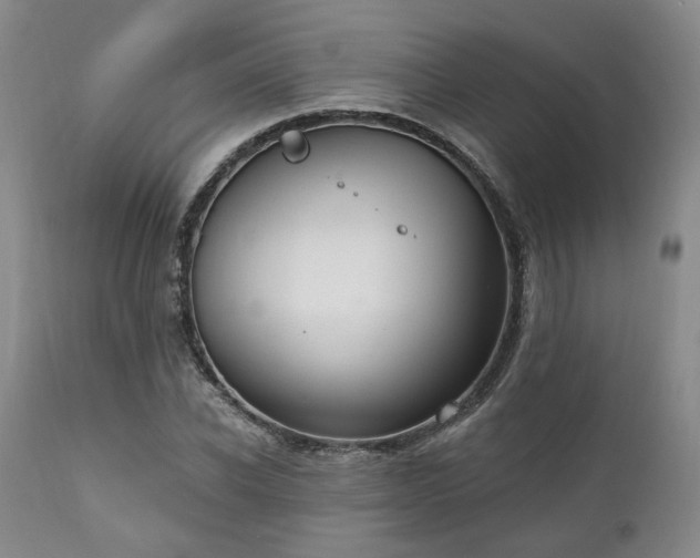 X0000111020926200906191649