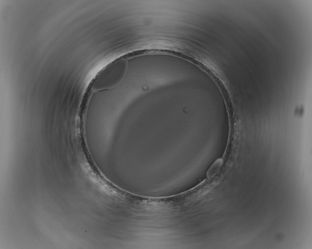 X0000111020928200906191649