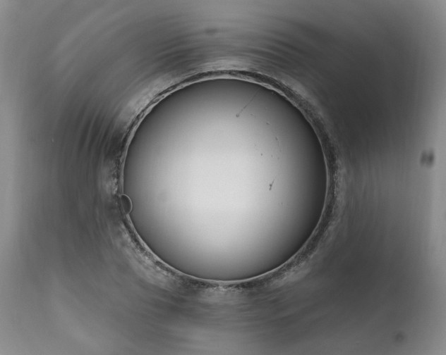 X0000111020929200906191649