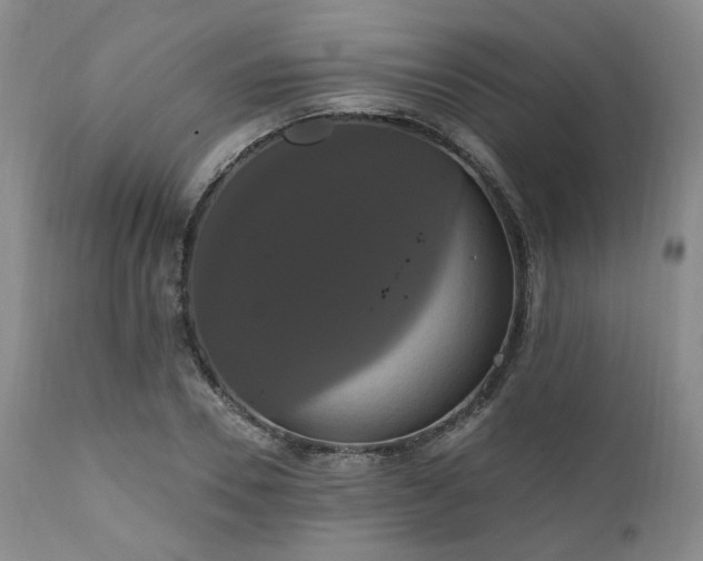 X0000111020930200906191649