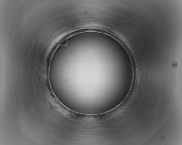 X0000111020931200906191649