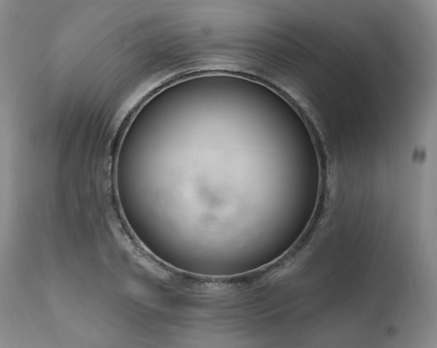 X0000111020933200906191649