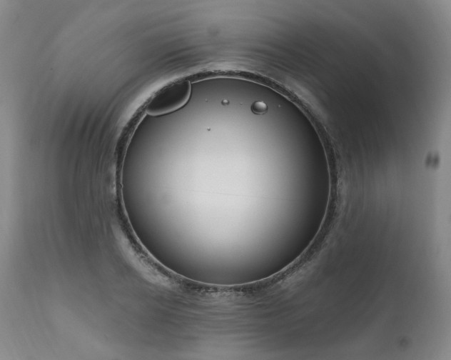 X0000111020934200906191649