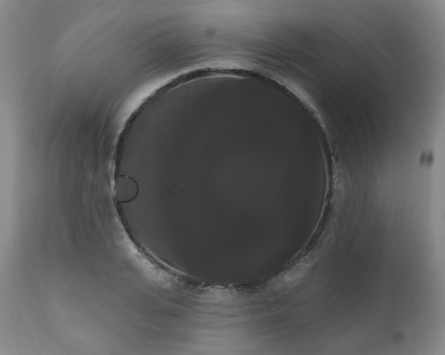 X0000111020935200906191649