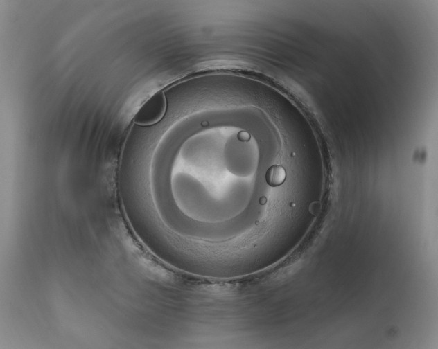 X0000111020937200906191649