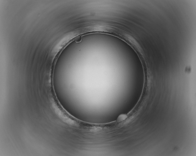 X0000111020938200906191649