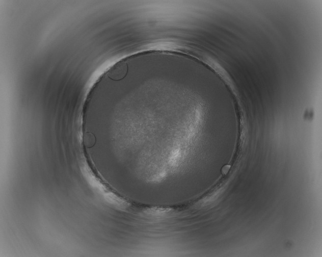 X0000111020939200906191649