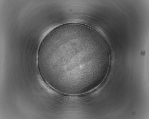 X0000111020940200906191649