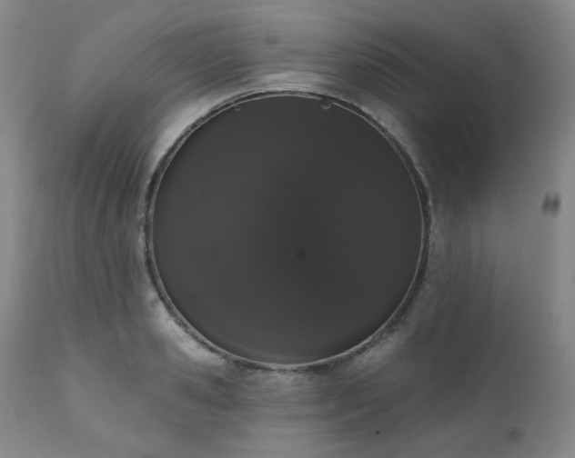 X0000111020941200906191649