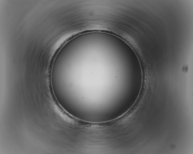 X0000111020942200906191649