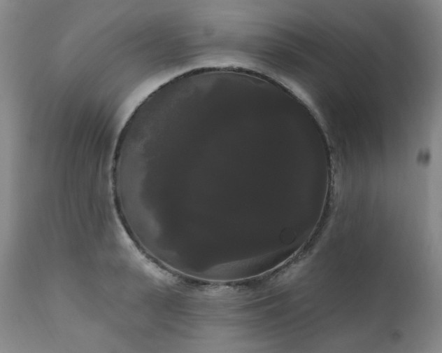 X0000111020943200906191649