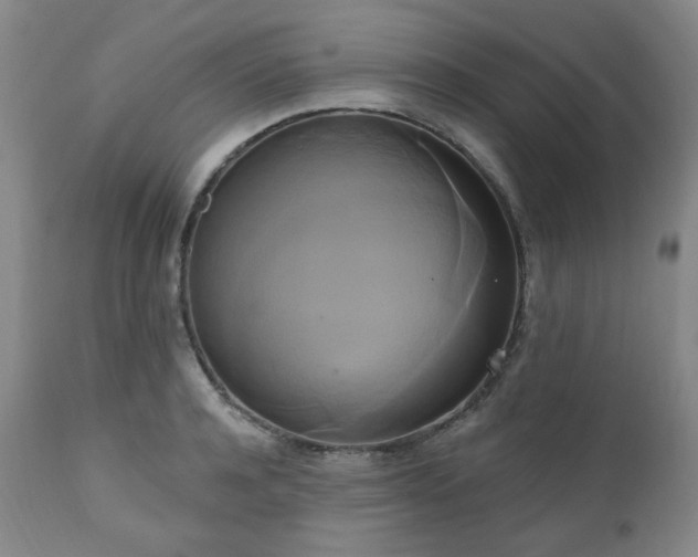 X0000111020944200906191649