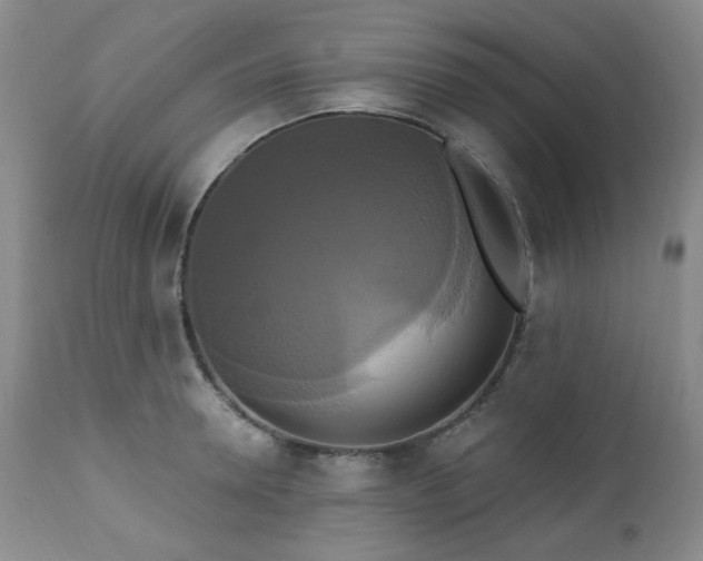 X0000111020946200906191649
