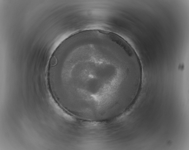 X0000111020949200906191649