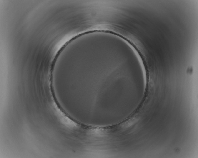 X0000111020950200906191649