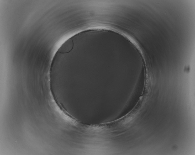 X0000111020951200906191649