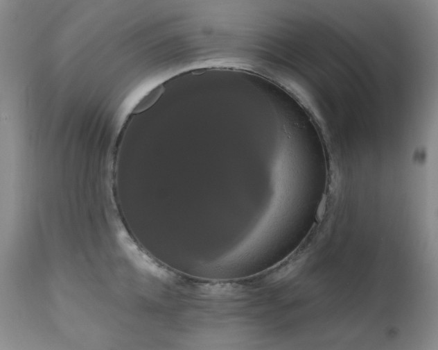 X0000111020952200906191649