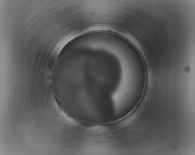 X0000111020953200906191649