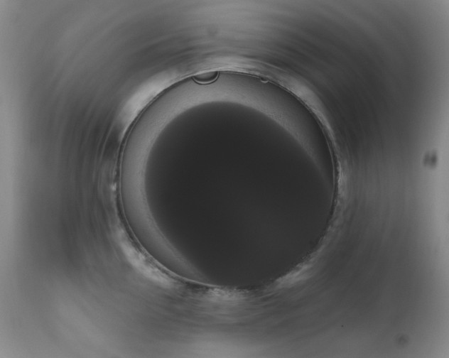 X0000111020954200906191649