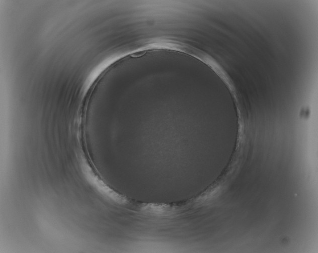 X0000111020955200906191649